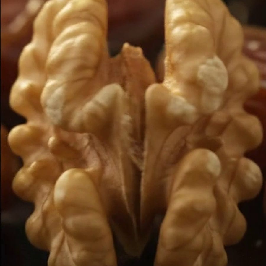 Walnut kernel halves, close up